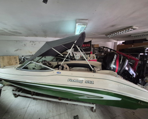 Fishing 551 con Mercury 115hp 4T