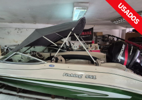 Fishing 551 con Mercury 115hp 4T